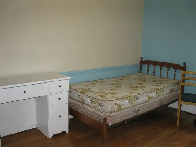 Close to U of Windsor Campus - Photo 2