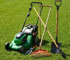 General Labour - Spring Clean Up