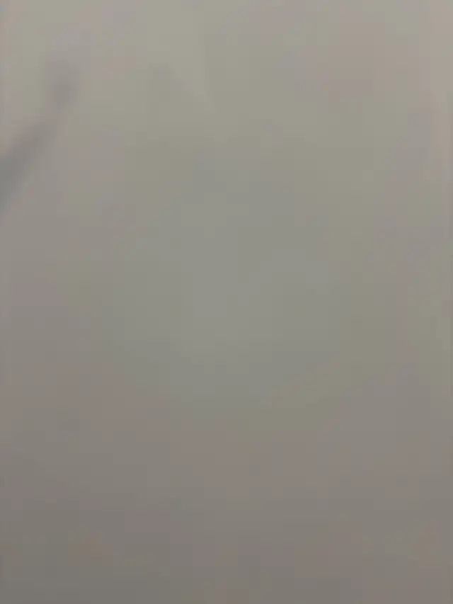 Looking for a painting helper