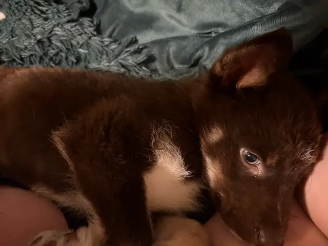 Room for Rent - Photo 4