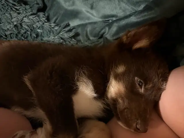 Room for Rent - Photo 5