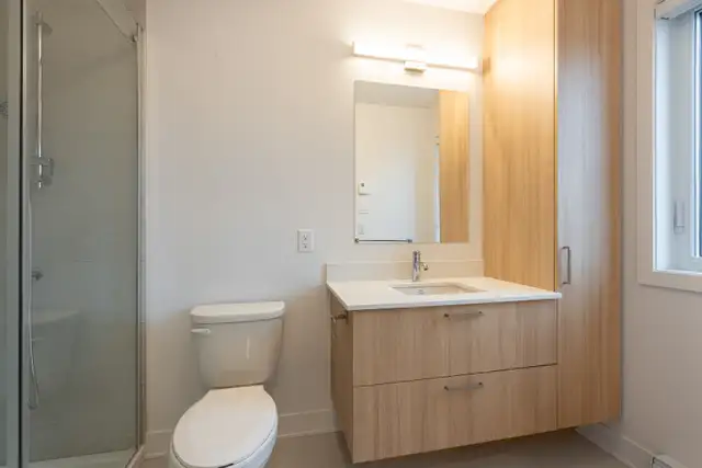 123 St-Jude, Deux-Montagnes - 5 1/2 - 1er juillet - Photo 10