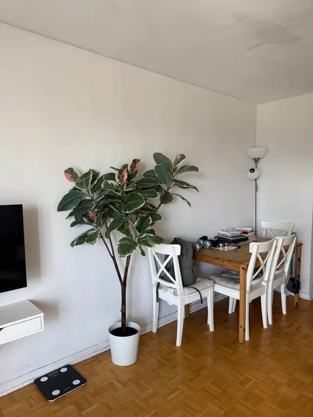 Sublet Studio Apartment Downtown - Photo 3