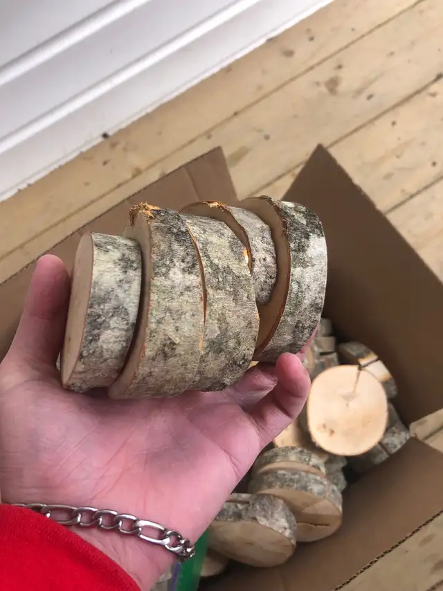 Plus de 90 rondelles de bois 3po à vendre - Photo 5