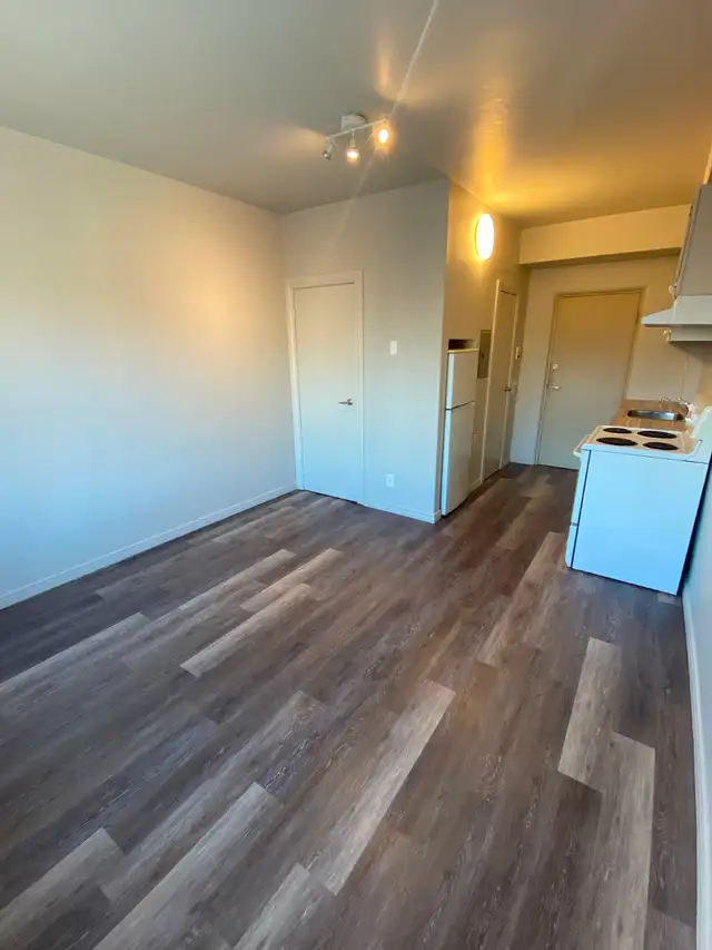Studio Bachelor Apartment in Durand Neighbourhood - Photo 4