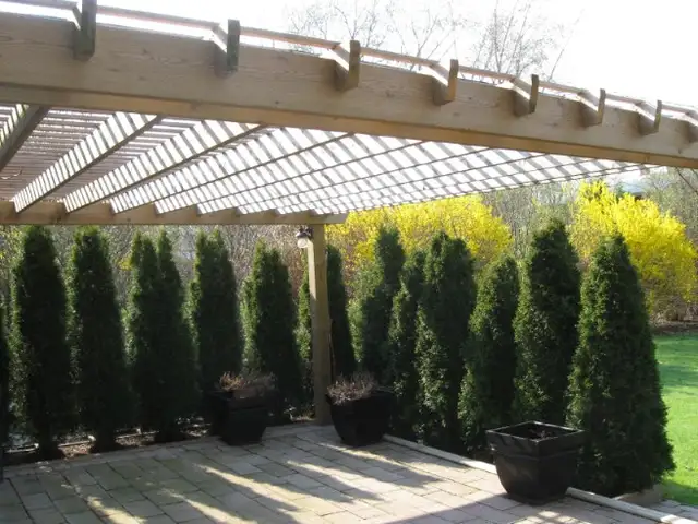 Deck, Fences, Shed & Gazebo - Photo 9