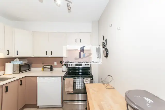 Condo à Louer - 570 Boul. des Hautes Plaines - Photo 7