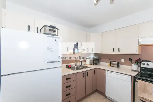 Condo à Louer - 570 Boul. des Hautes Plaines - Photo 8