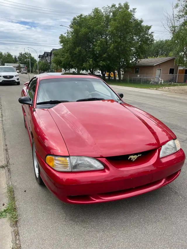 1994 Mustang GT - Photo 3