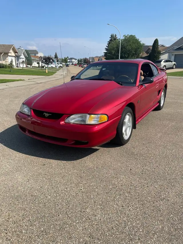 1994 Mustang GT - Photo 5