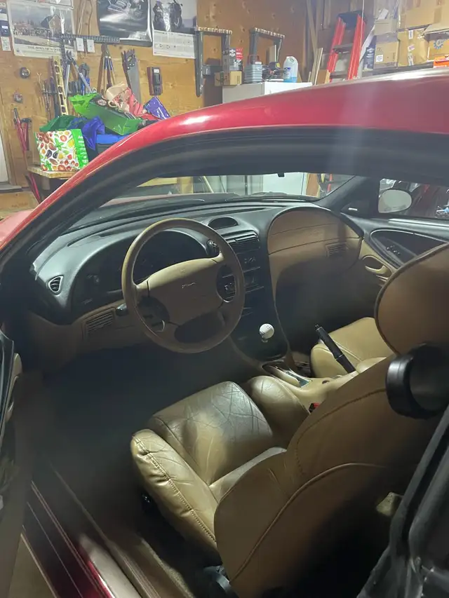1994 Mustang GT - Photo 6