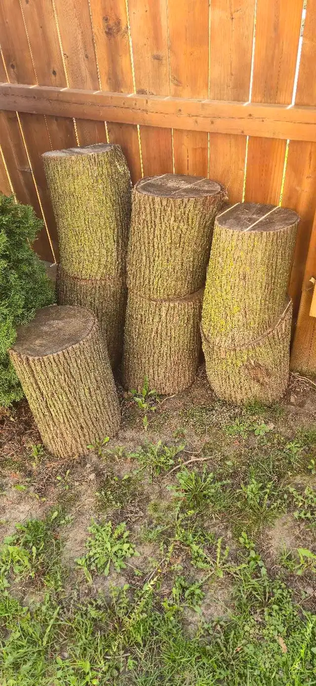 Wood Logs