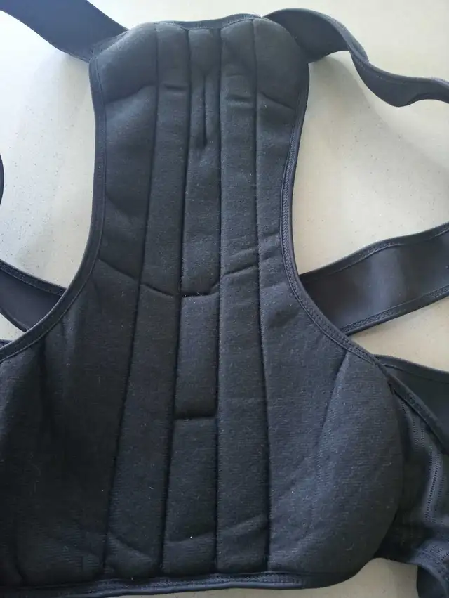 Back Brace - Photo 3