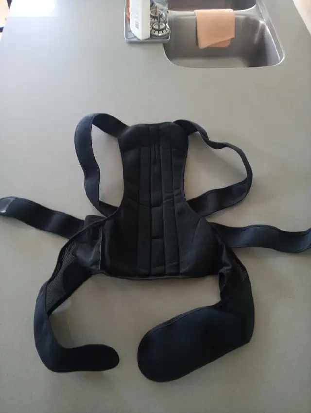 Back Brace - Photo 4