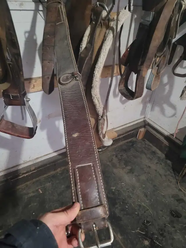 280 Eamor roping saddle for sale! - Photo 5