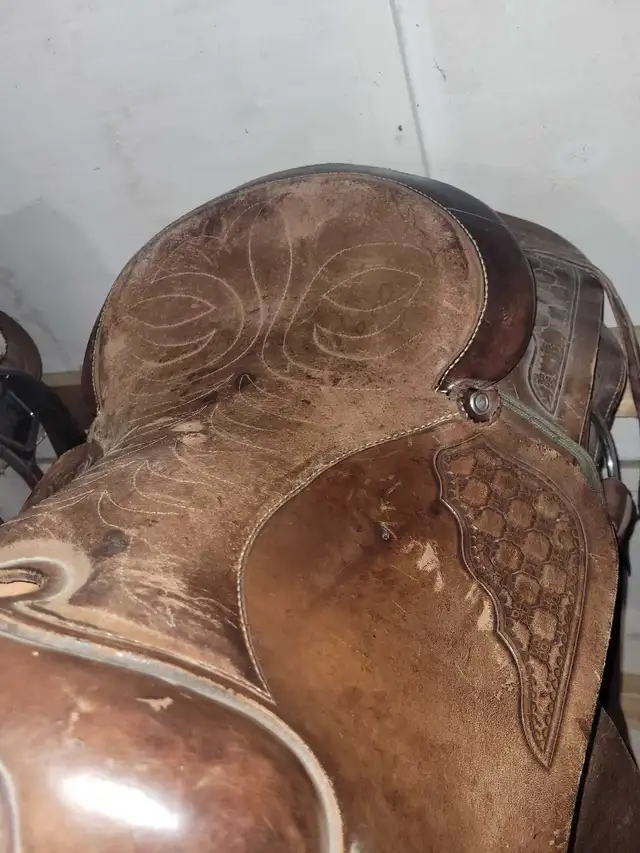 280 Eamor roping saddle for sale! - Photo 7