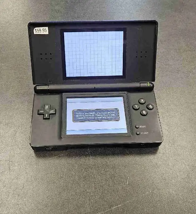 Nintendo DS Lite