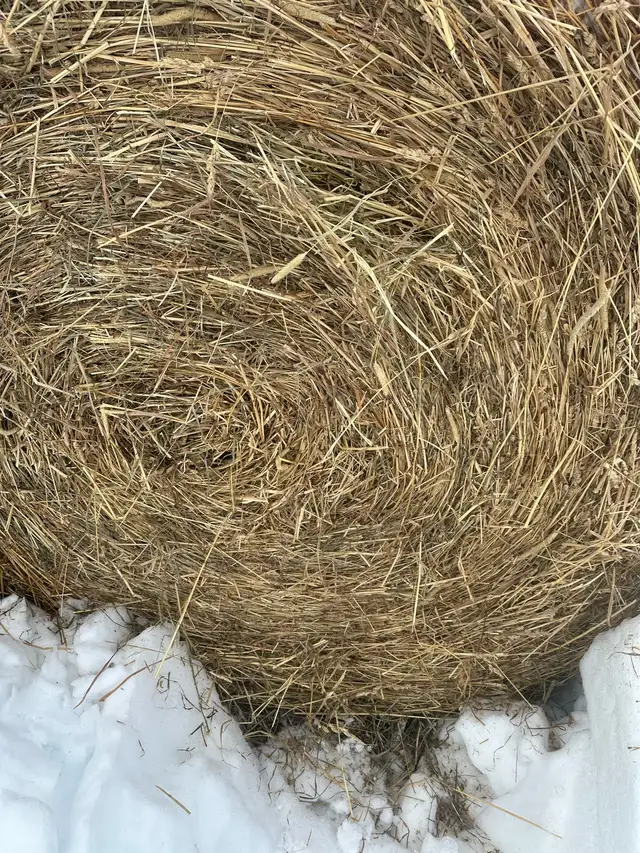 1st cut 4x5 round bales