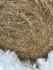 1st cut 4x5 round bales