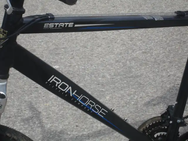 A BEAUTY 26' IRONHORSE ESTATE 21 SPD, DISC BRAKES & SUSPENSION! - Photo 4