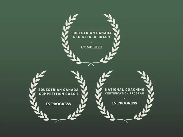 English Riding Lessons | Medicine Hat & Area - Photo 4