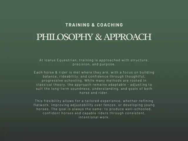 English Riding Lessons | Medicine Hat & Area - Photo 6