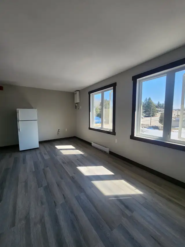 ALL INCLUSIVE Bachelor Apt AVAIL NOW - 20 Min From Huntsville - Photo 3