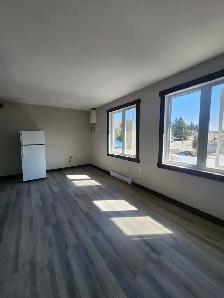 ALL INCLUSIVE Bachelor Apt AVAIL NOW - 20 Min From Huntsville - Photo 3