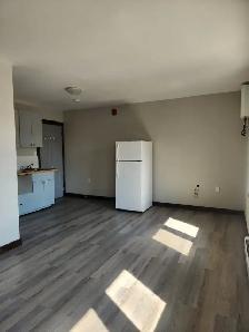ALL INCLUSIVE Bachelor Apt AVAIL NOW - 20 Min From Huntsville - Photo 4