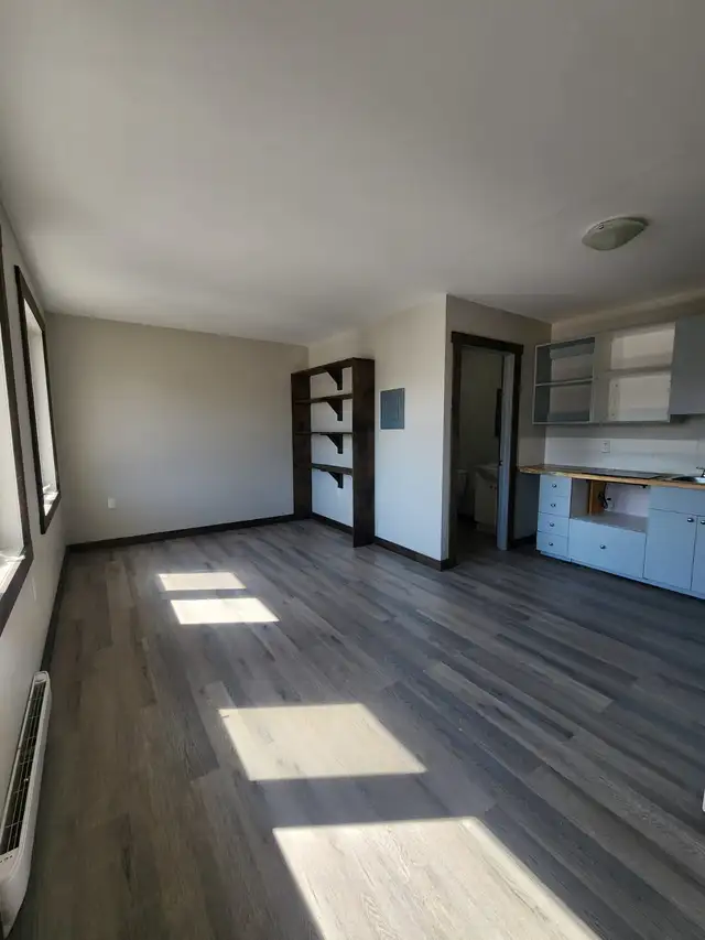 ALL INCLUSIVE Bachelor Apt AVAIL NOW - 20 Min From Huntsville - Photo 5