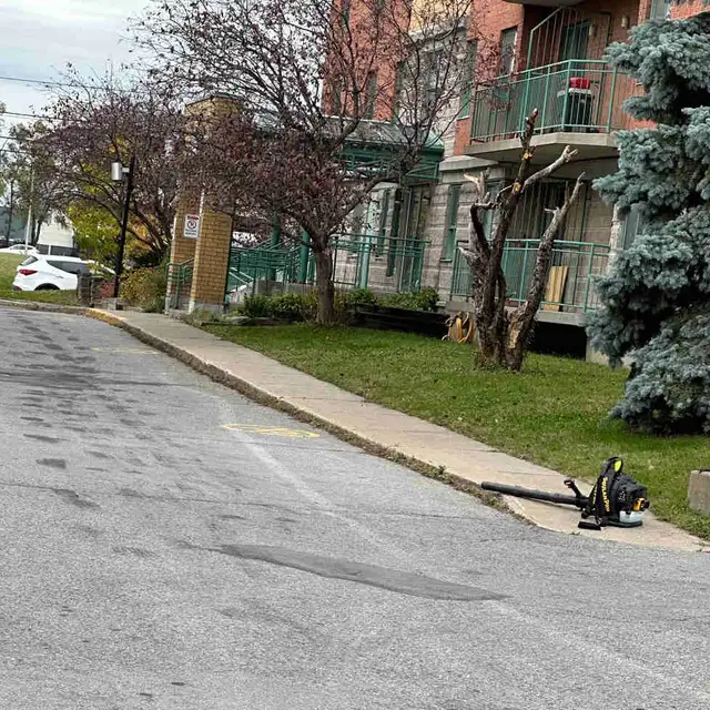 nettoyage d’un terrain