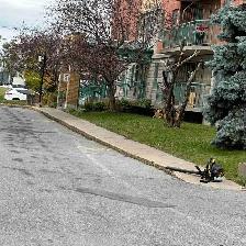 nettoyage d’un terrain