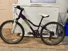 Trek 24" girls bike