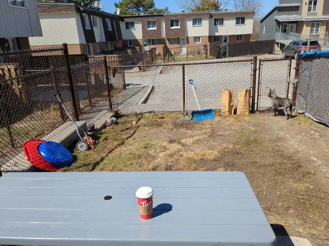 Best Choice  Reliable  Honest  Odd Job Mike