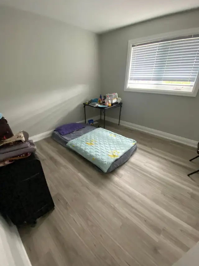 ROOM FOR RENT MAY FIRST - JANE AND SHEPPARD - Photo 2