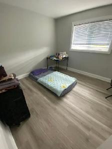ROOM FOR RENT MAY FIRST - JANE AND SHEPPARD - Photo 2