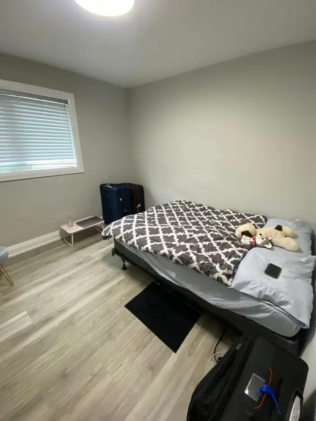 ROOM FOR RENT MAY FIRST - JANE AND SHEPPARD - Photo 4