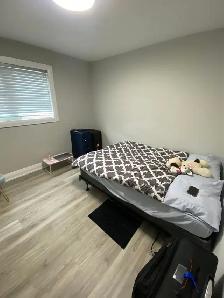 ROOM FOR RENT MAY FIRST - JANE AND SHEPPARD - Photo 4