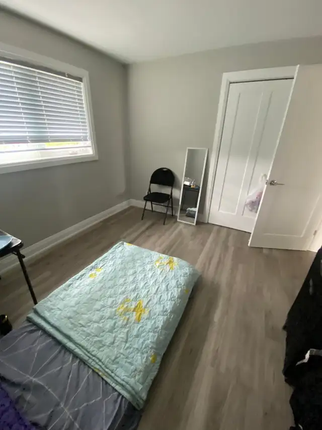 ROOM FOR RENT MAY FIRST - JANE AND SHEPPARD - Photo 5