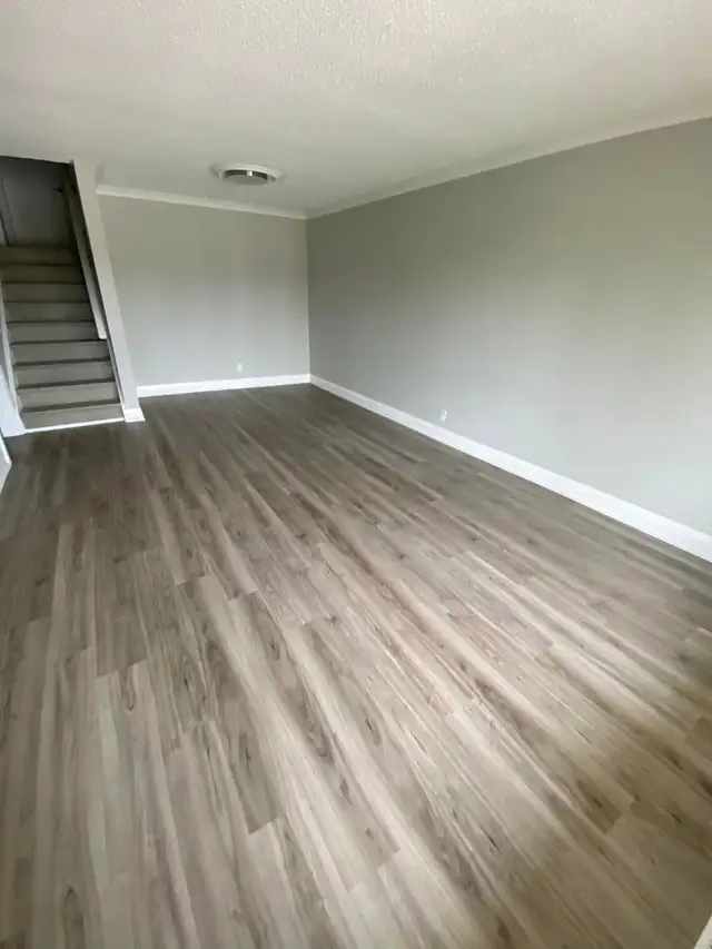 ROOM FOR RENT MAY FIRST - JANE AND SHEPPARD - Photo 7