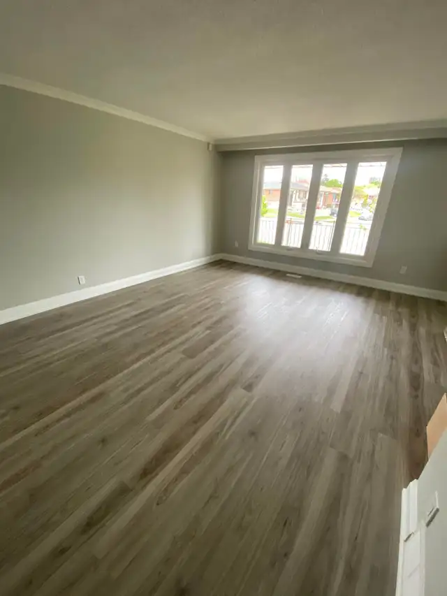 ROOM FOR RENT MAY FIRST - JANE AND SHEPPARD - Photo 9