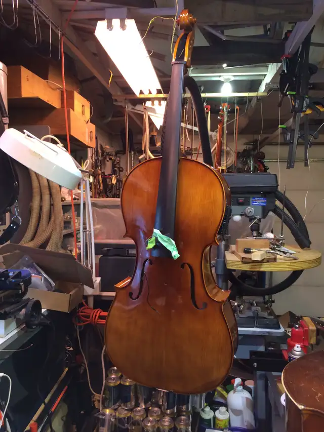 Violin, cello and string instrument Luthier - Photo 5