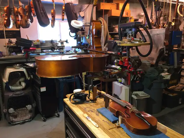 Violin, cello and string instrument Luthier - Photo 6
