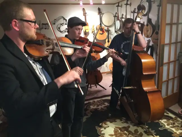 Violin, cello and string instrument Luthier - Photo 7