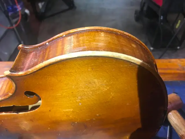 Violin, cello and string instrument Luthier - Photo 16