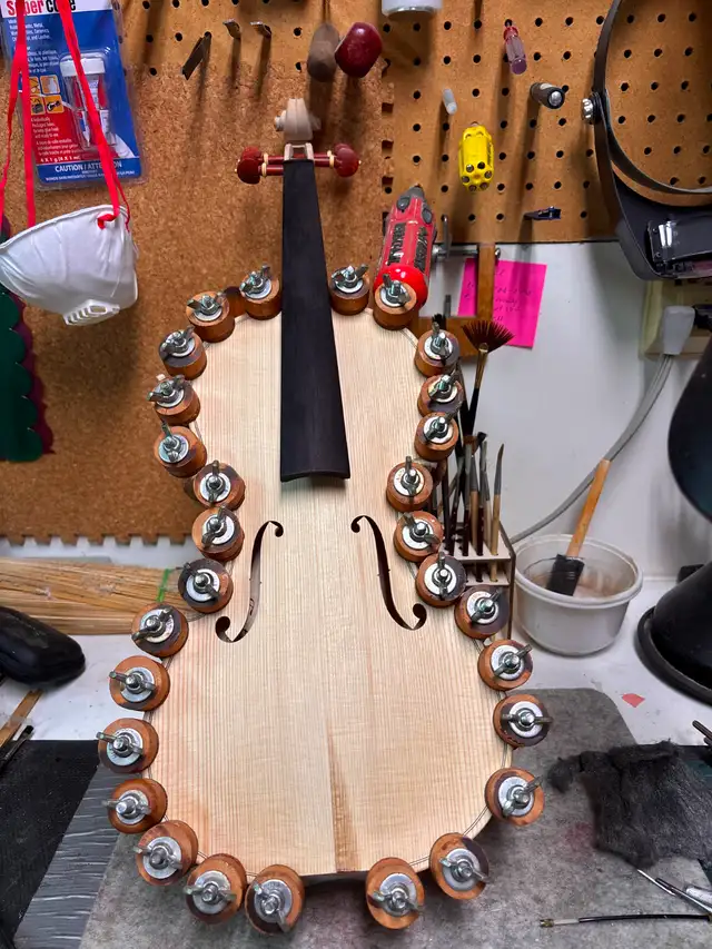 Violin, cello and string instrument Luthier - Photo 19