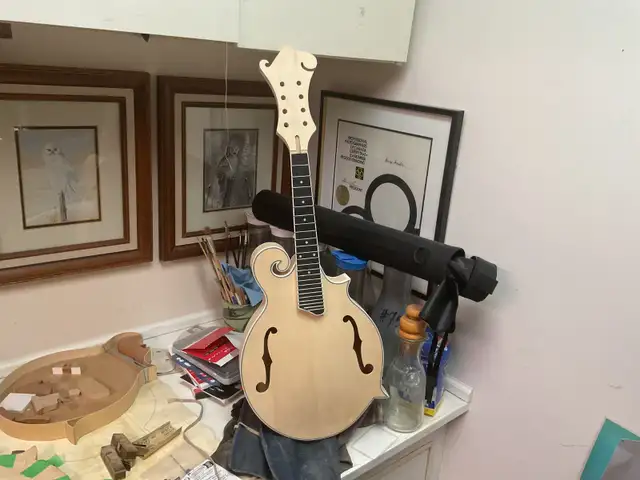 Violin, cello and string instrument Luthier - Photo 20