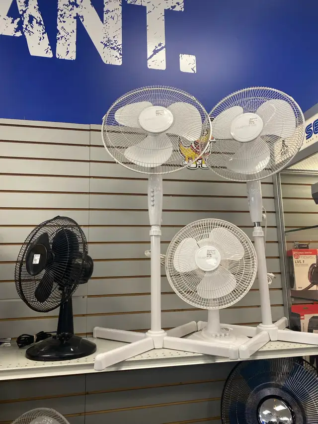 Indoor Fans @ Cashopolis!! - Photo 2