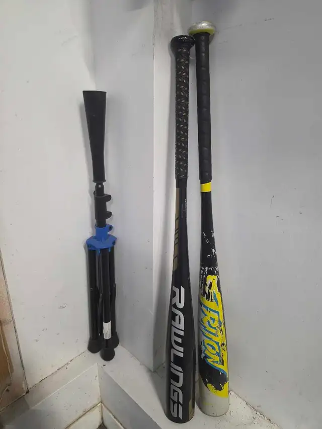 baton baseball à donner