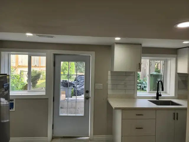 (LOWER LEVEL-Luxurious Hamilton walkout Basement) - Photo 3